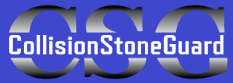 CSG Logo`
